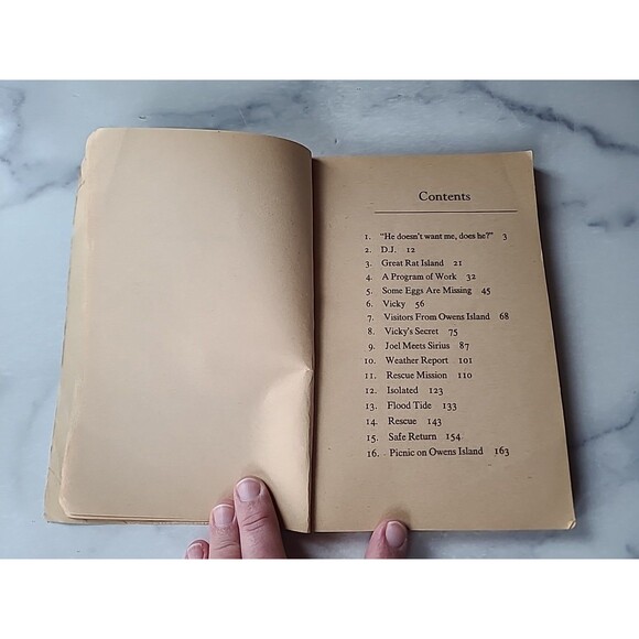 The Great Rat Island Adventure By Charlene Joy Talbot Paperback - Picture 6 of 10